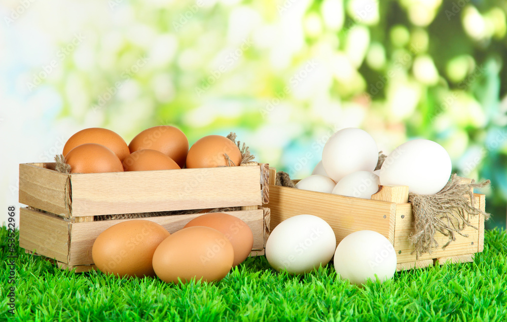 Many eggs in boxes on grass on bright background Many eggs in boxes on grass on bright background