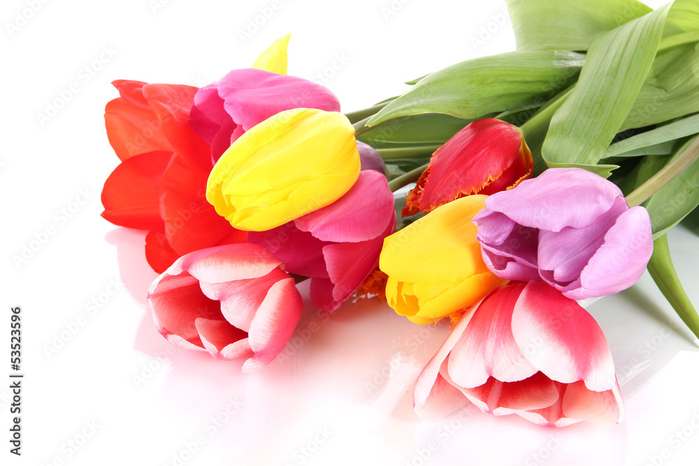 Beautiful tulips in bouquet isolated on white