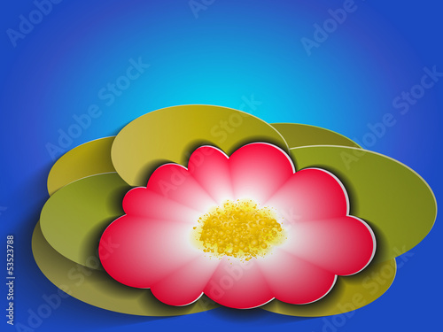 Seerose Illustration