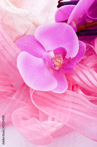 pink orchid flower with ribbon decoration © schmaelterphoto