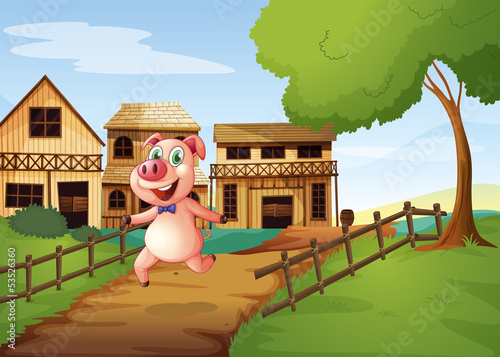 A pig running happily