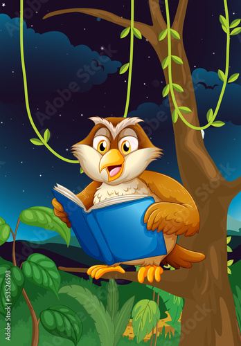 An owl reading