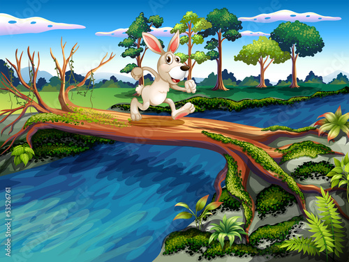 A rabbit crossing the river