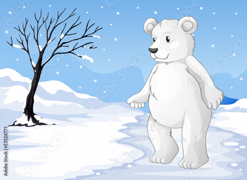A polar bear freezing