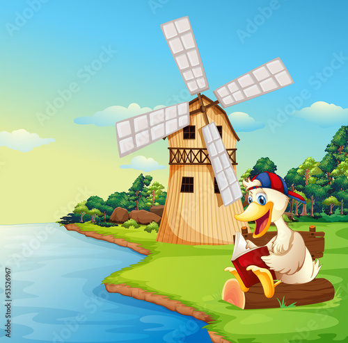 A duck reading a book near the windmill
