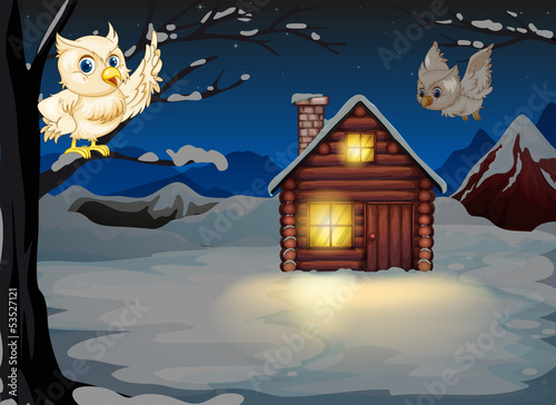 Owls appearing in the middle of the night near the wooden house