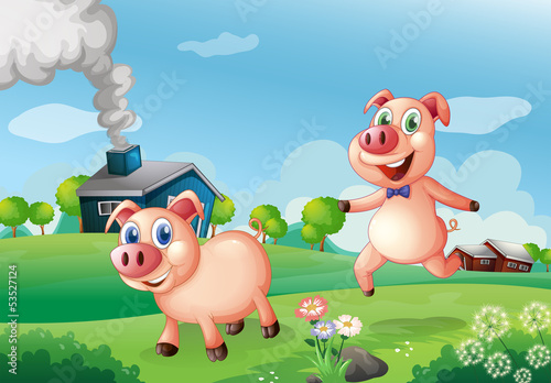 Two happy pigs at the farm