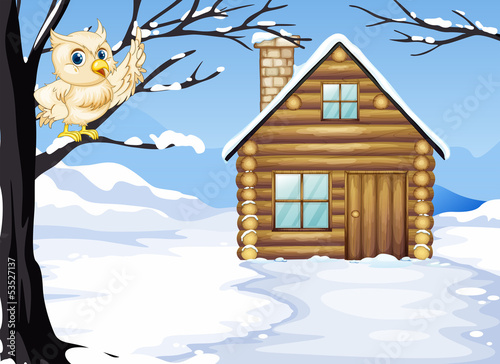 An owl at the branch of a tree near the wooden house