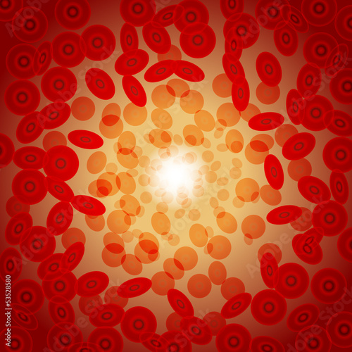 blood and body, movement of life