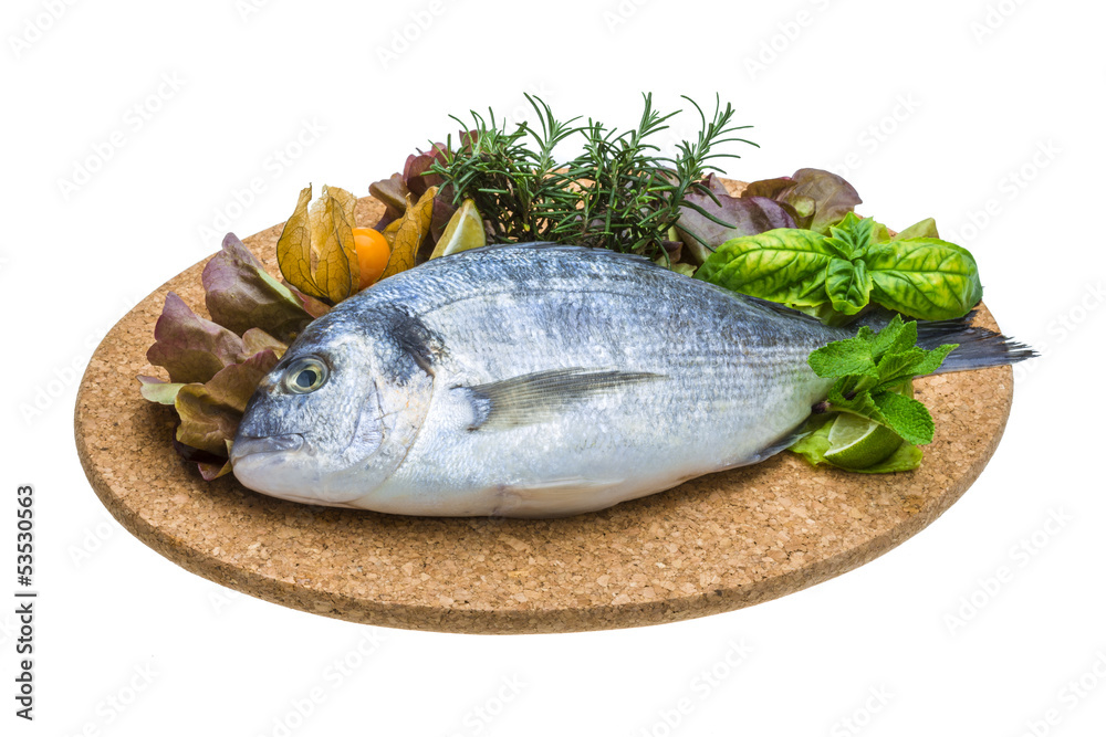 Fresh raw dorada Fresh raw dorada