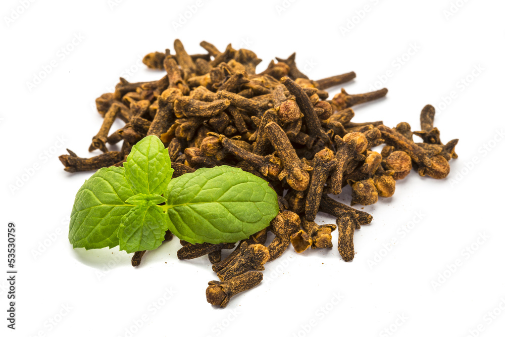 Obraz premium Carnation seed