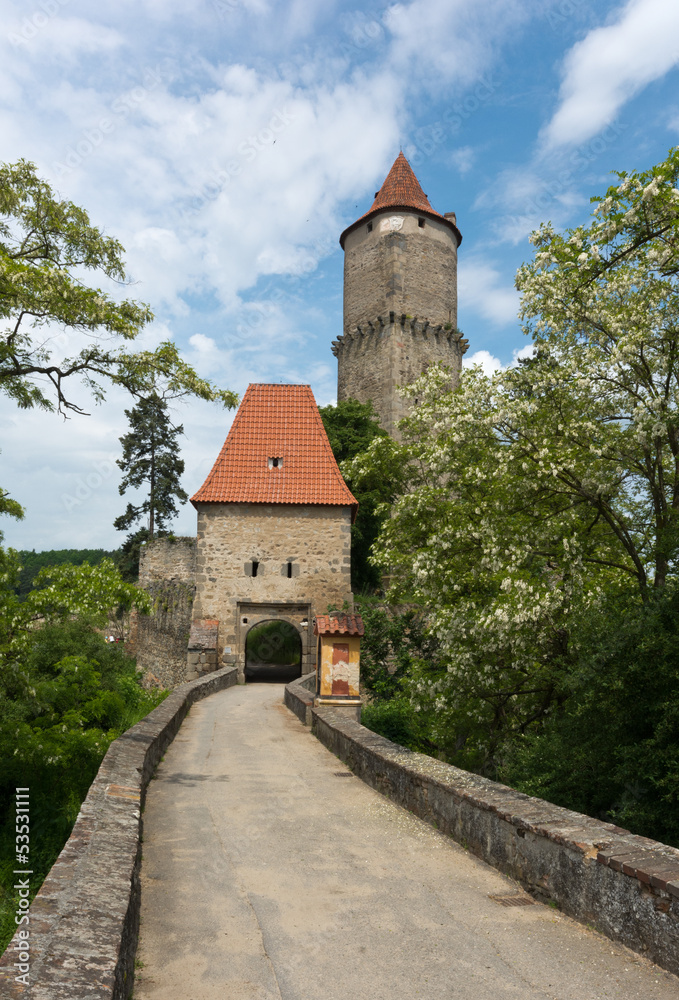 Castle Zvikov
