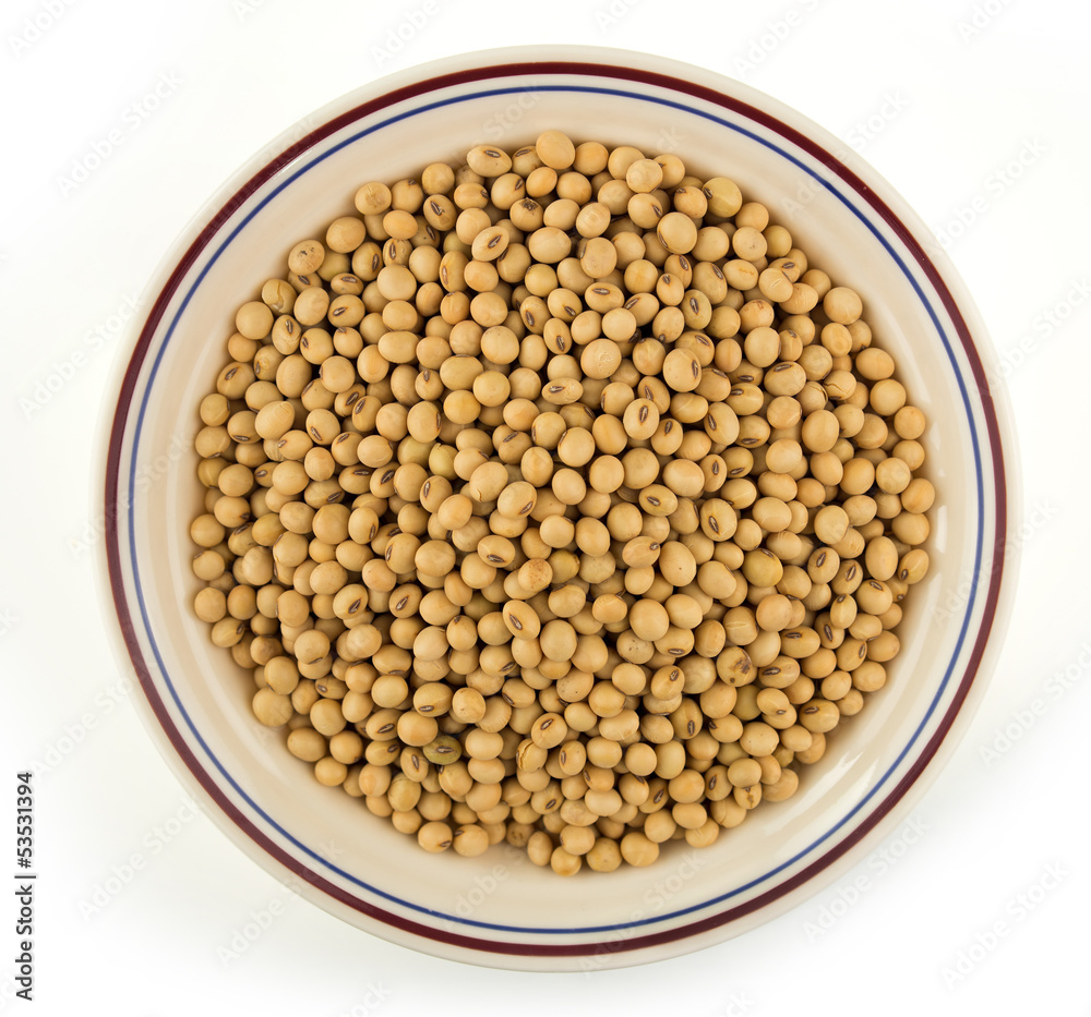Bowl of soybean seeds isolated on white Bowl of soybean seeds isolated on white