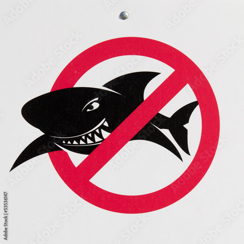 No sharks photo