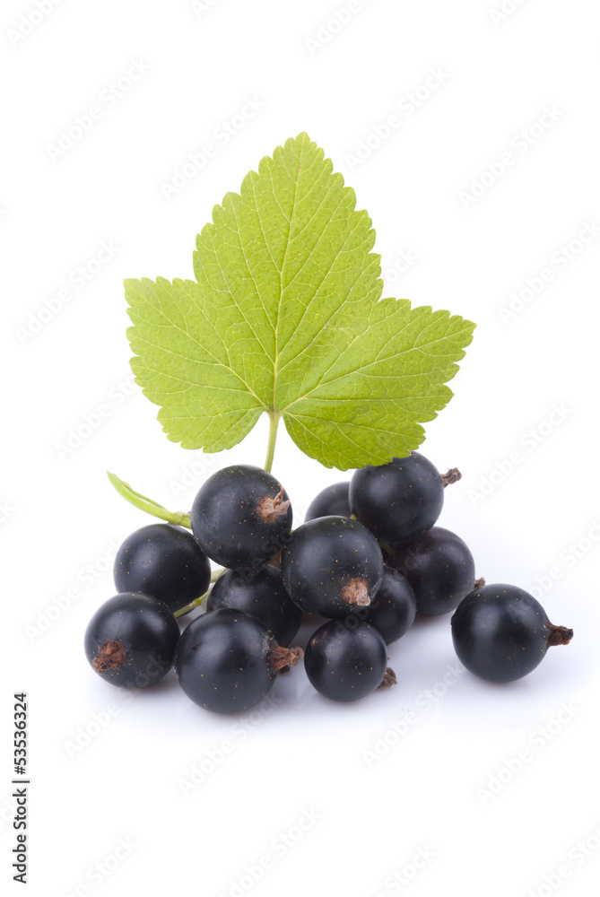 Black currant and green leaf on a white background. Black currant and green leaf on a white background.