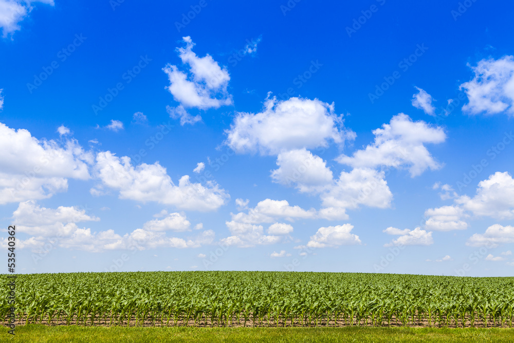 Fototapeta premium American Country Landscape