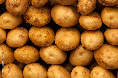 Photo of potatoes background