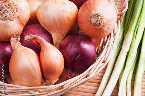 Red and yellow onions in the bascket
