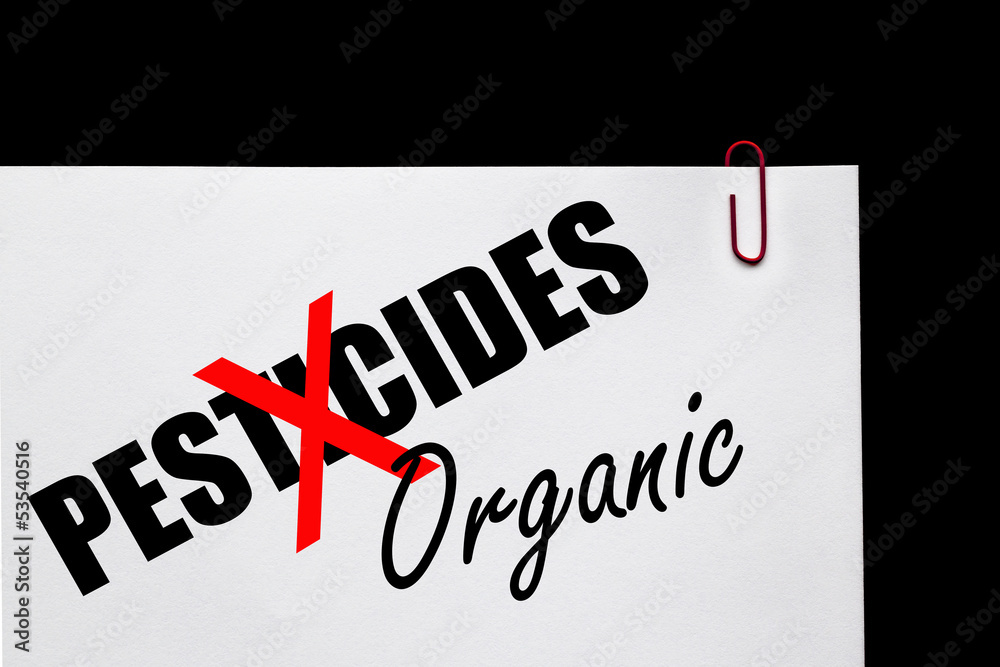 Pesticides or Organic - Real Food?
