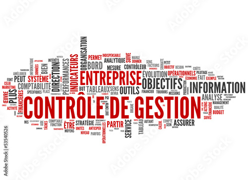 Contrôle de gestion (Controlling)