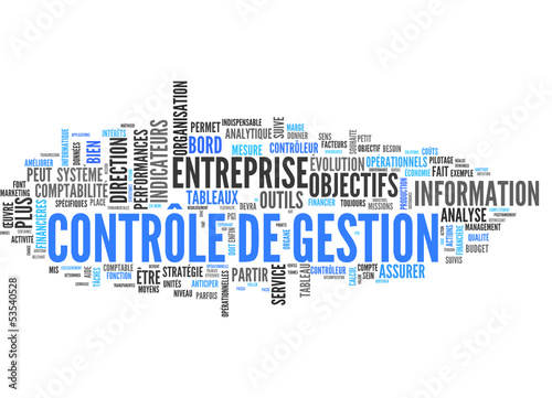 Contrôle de gestion (Controlling)