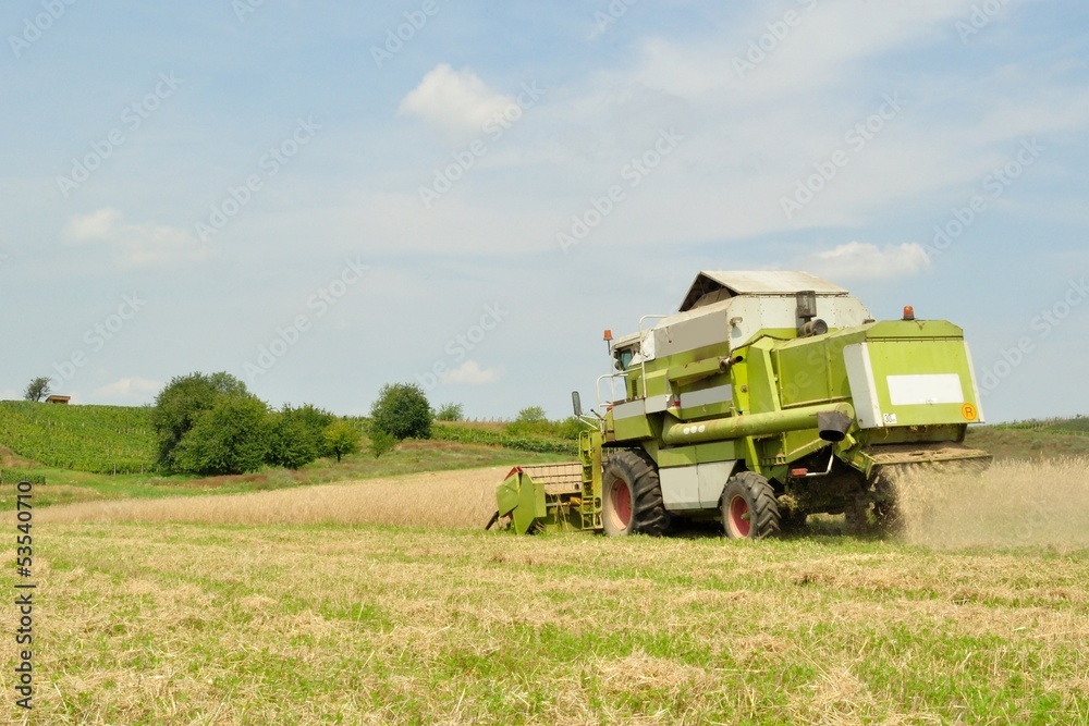 Combine harvester in the wheat field during harvesting Combine harvester in the wheat field during harvesting
