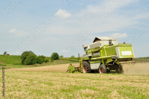 Combine harvester in the wheat field during harvesting