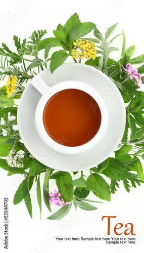 Cup of tea with fresh herbs and spices around it