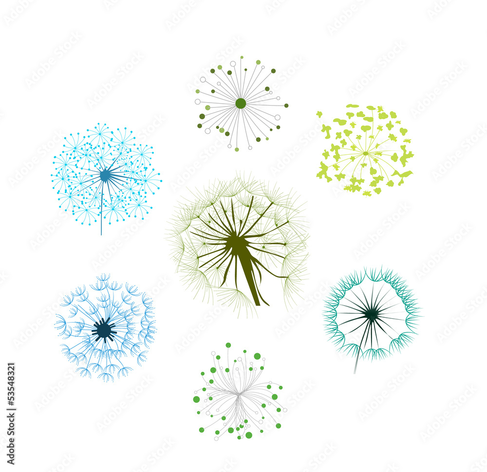 Obraz premium Dandelion Collection