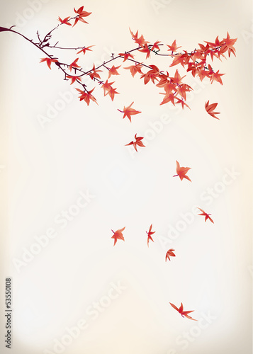 maple leaves