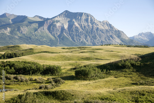 Field view with mountain background in national park