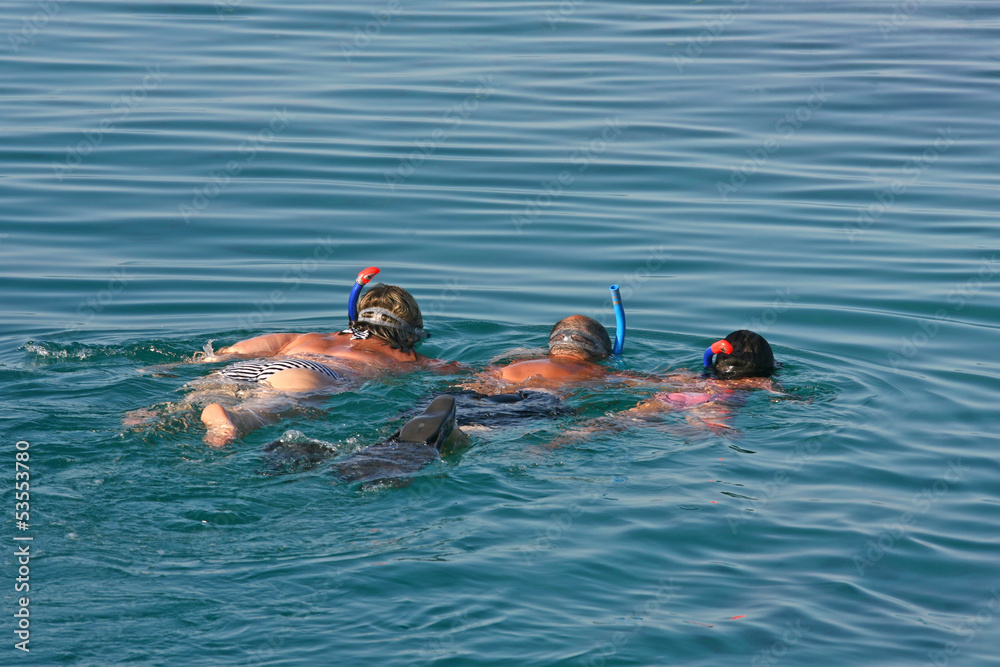 snorkeling in a turquoise tropical sea over Red Sea in Egypt