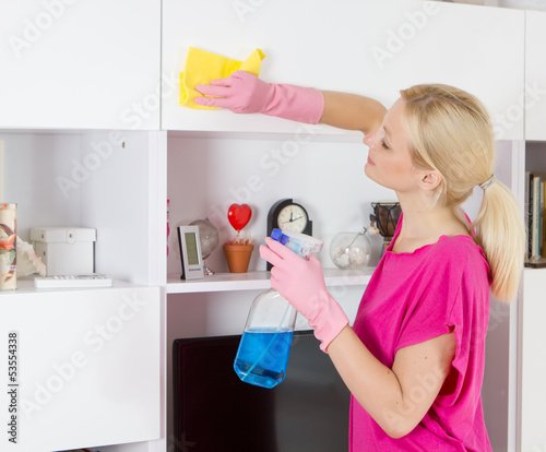 housewife cleaning home