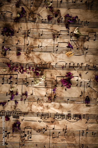 Fototapeta Naklejka Na Ścianę i Meble -  Vintage music notes