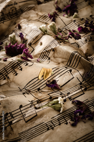 Fototapeta Naklejka Na Ścianę i Meble -  Vintage music notes