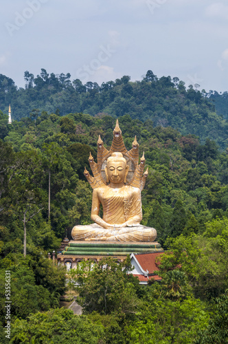 Golden Buddha statue surrounded by mountains