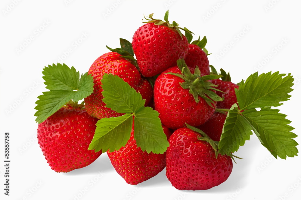 Mehrere Erdbeeren vor weißem Hintergrund Mehrere Erdbeeren vor weißem Hintergrund