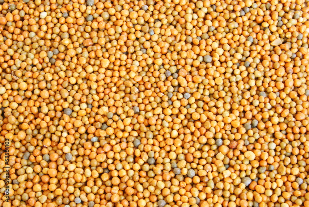 fertilize fertilize