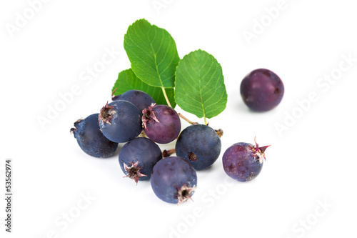 Foto berry blueberries isolated on white