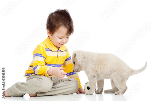 kid little boy and puppy dog