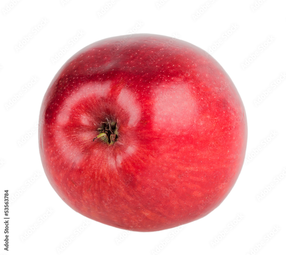 Single red apple