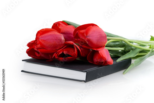Fototapeta Naklejka Na Ścianę i Meble -  tulip flower book