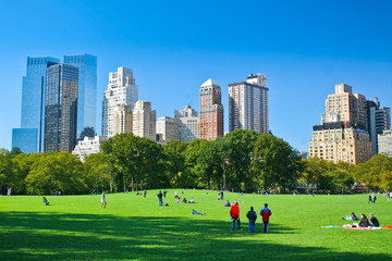 Canvas schilderij Central Park Grasveld in Central Park New York  © AlexQ