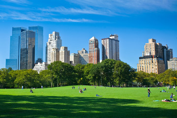 Canvas schilderij Central Park Open weide in Central Park  © AlexQ