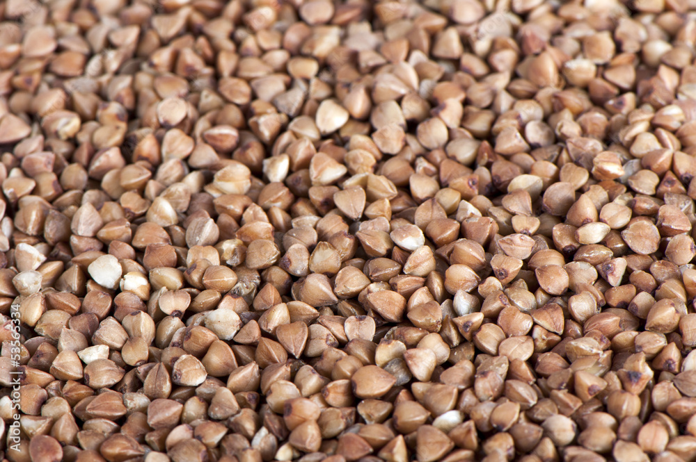 Background of buckwheat Background of buckwheat