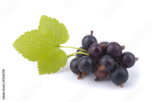 Black currant and green leaf on a white background.