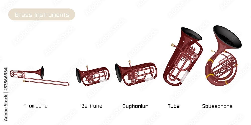 Obraz premium Five Musical Brass Instrument Isolated on White Background