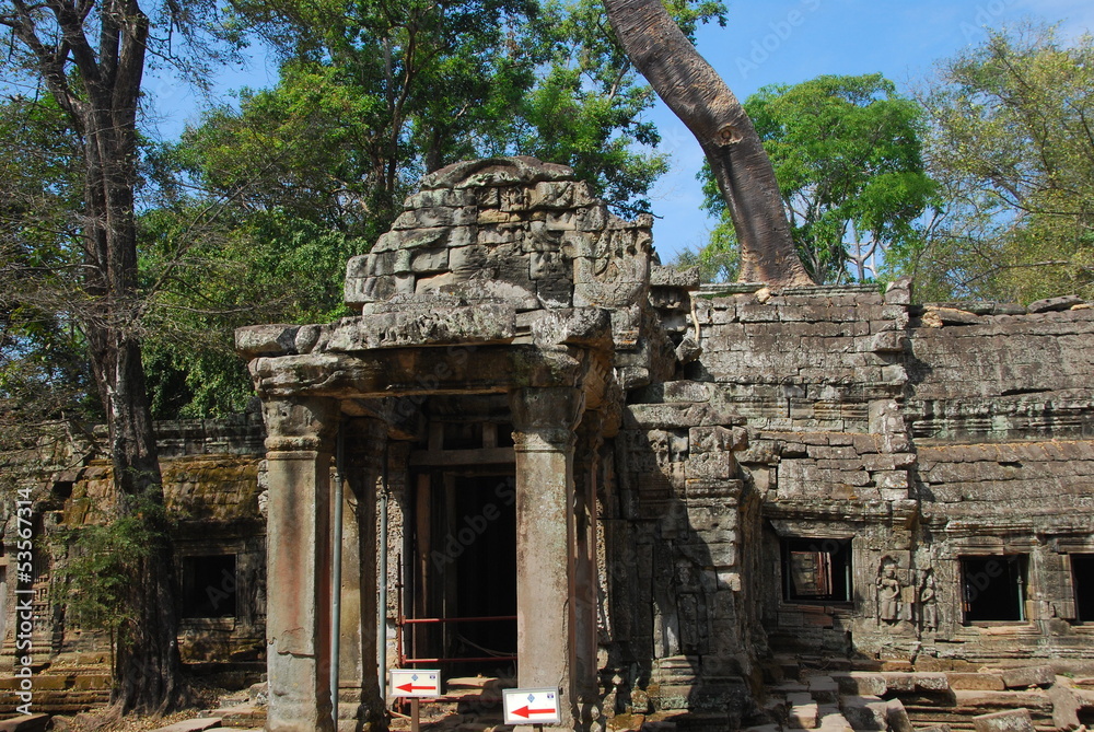 Fototapeta premium Ta Prohm