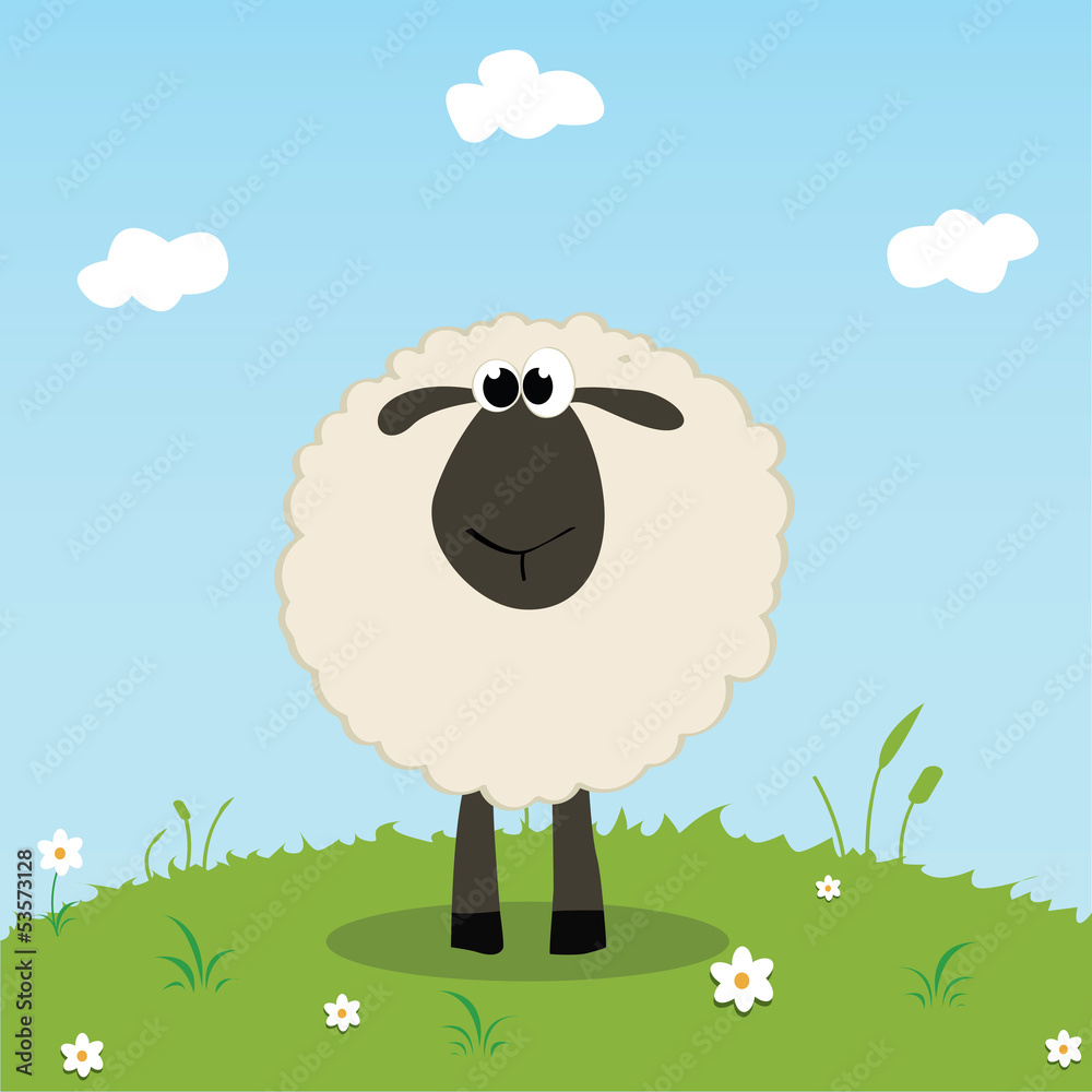 Fototapeta premium sheep