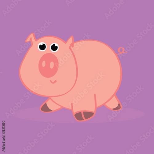 pig